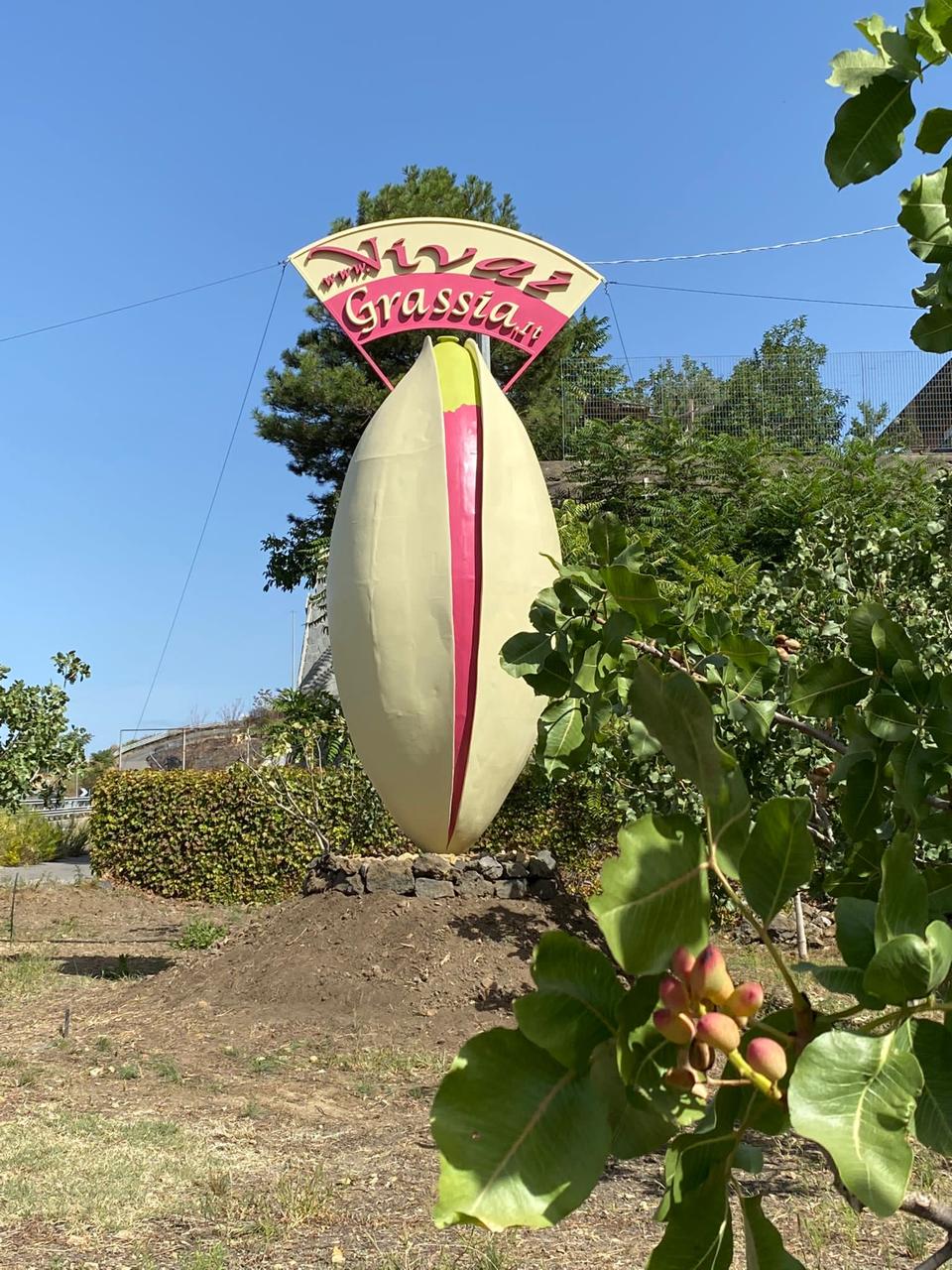 Visita e Degustazione ai pistacchieti di Bronte - immagine 3